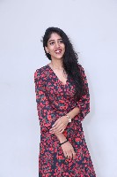 Chandini Chowdary at Sammathame Success Meet